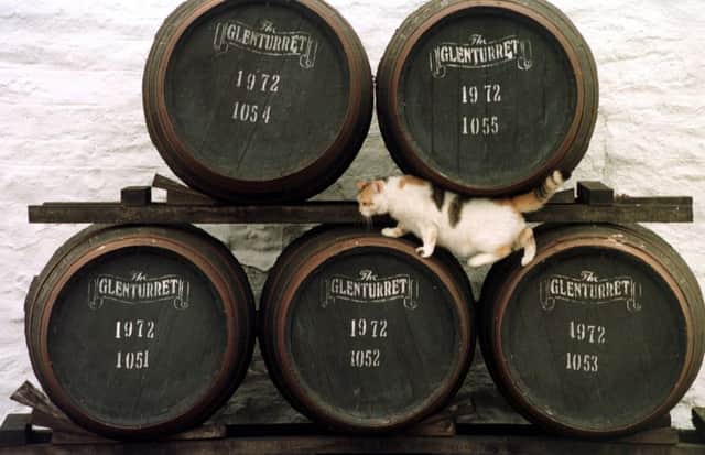 Raising a dram to set a new world record at Glenturret Distillery. Pic: Denis Straughan