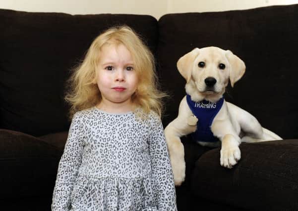 12-01-2016. Picture Michael Gillen. POLMONT. 13 week old puppy labrador, Harvey and 3-year-old Alyssa Stirling who has autism. Family raising money so Harvey can be trained as an autism support dog.