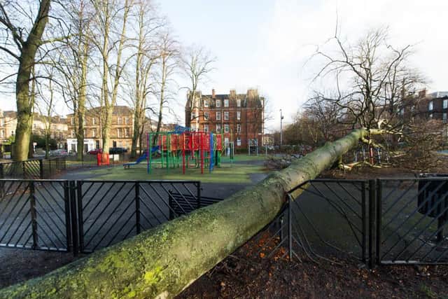 Storm Gertrude caused damage across the country (Picture by John Devlin).