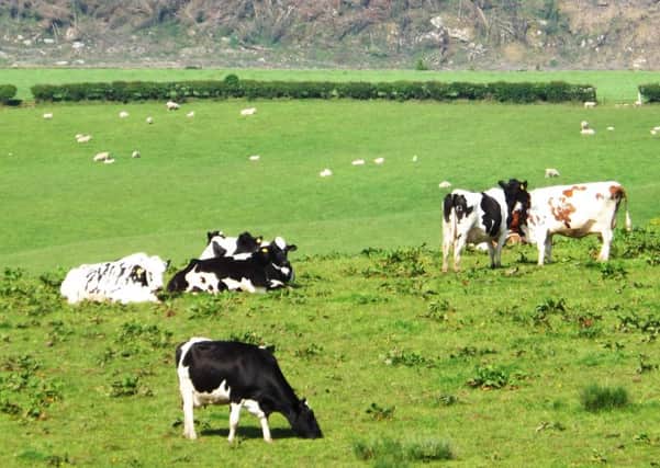 Payments to many Scottish farmers under the new Basic Payments Scheme have been delayed.