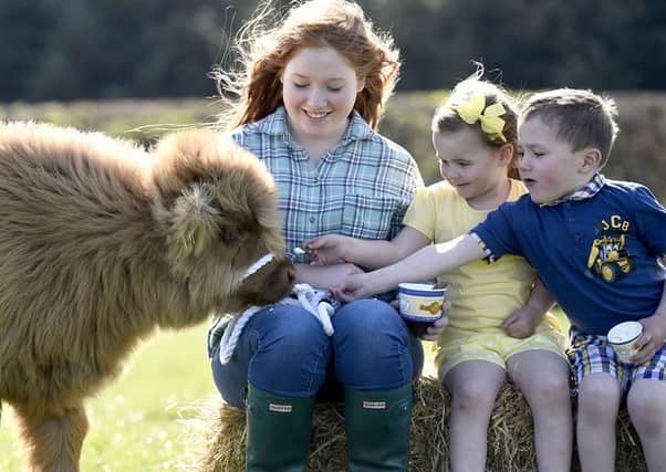 FREE USE PICTURE  Junior handler Laura Hunter, 16, and cousins Hannah Devine and Alan Marshall, both aged 4, share their ice-cream with Molly, their prize-winning Highland cow calf