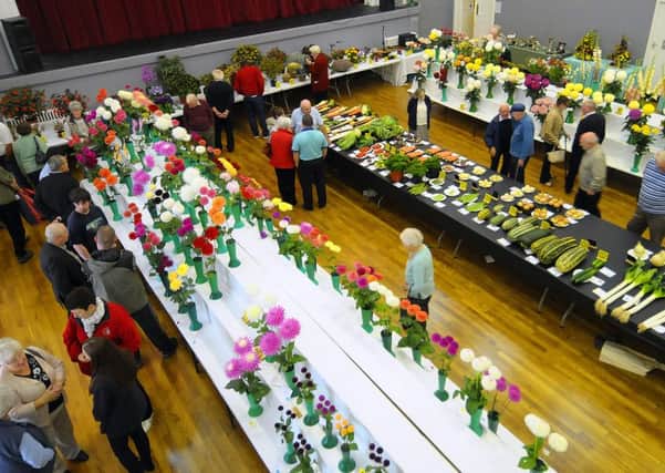 Grangemouth Horticultural Society always put on a good show in the town hall