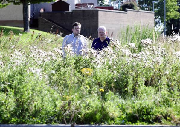 Hallglen resident Thomas Smith and Councillor Colin Chalmers at one of the over grown sites. Picture: Michael Gillen
