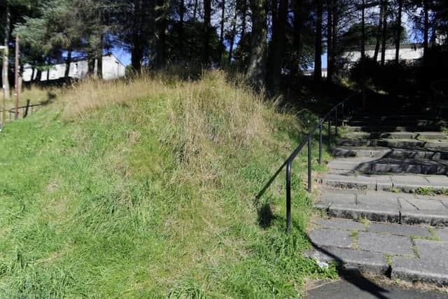 Slopes with steep gradients are not being cut by the council. Picture: Michael Gillen