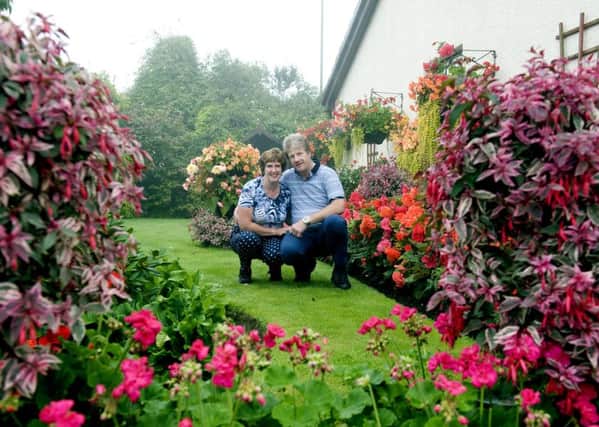 Olive and Bruce King in their award-winning garden. Picture: Craig Halkett