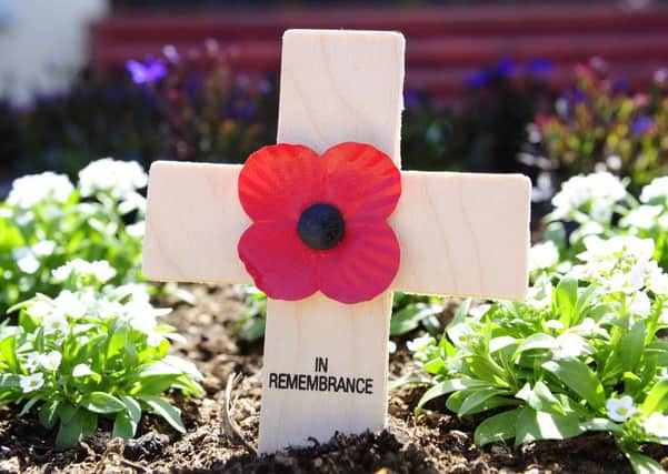 Primary school pupils are being encouraged to makes Films of Remembrance
Pictue: Michael Gillen