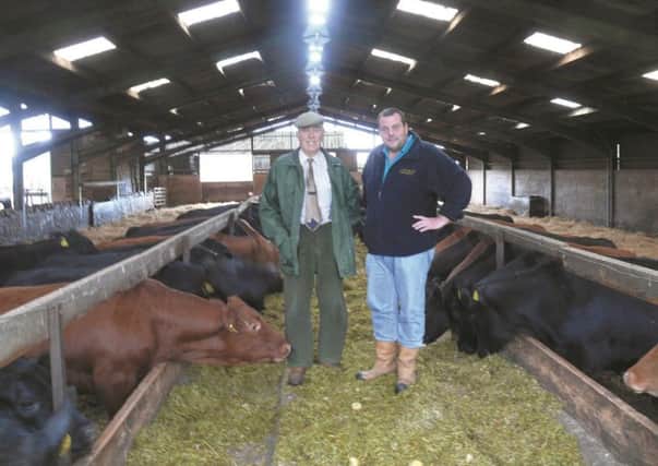 Prime cattle...is what you will find if you visit Burnshot Farm, where William and Robin work with Aberdeen Angus cattle.
