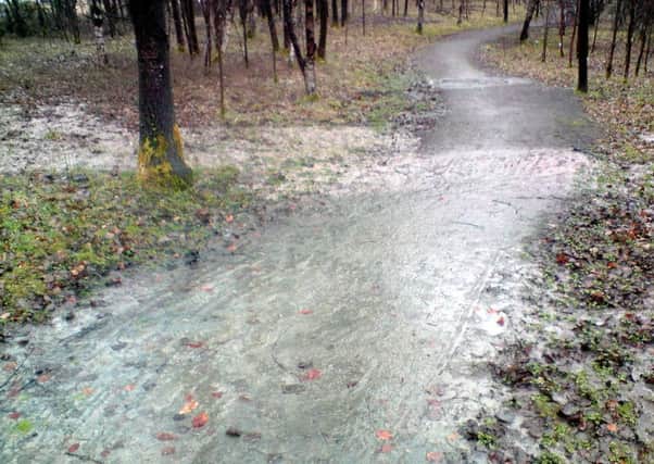 A leaking sewer at the Bonnyfield nature park back in 2011