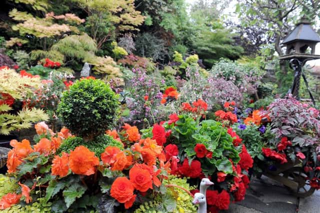 The Kings' garden in Wallacestone features a massive range of colours and flowers