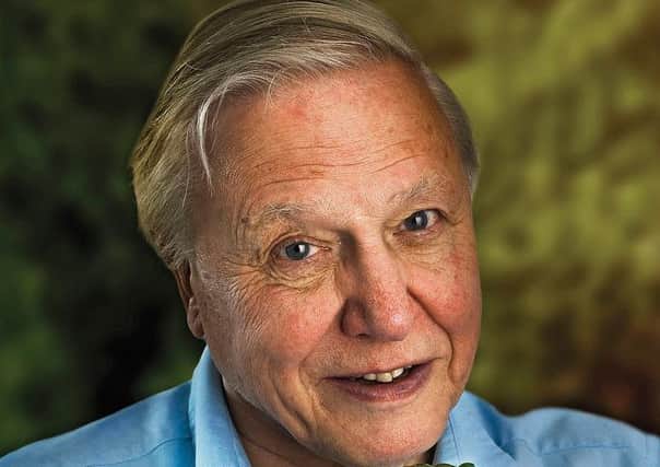 Scots have named Sir David Attenborough as the guest they would most like to share a takeaway with.