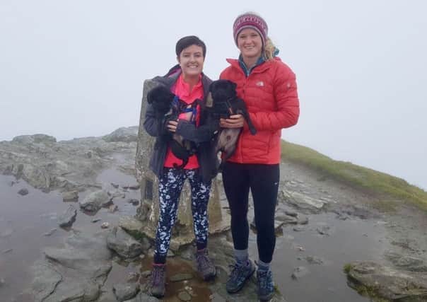 Mandie Stevenson with friend Dani and pugs Frank and Rudi at the summit of Ben Lomond
