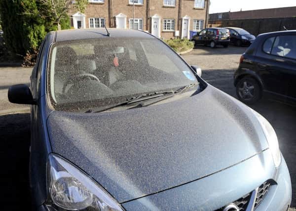 Cars and properties in Falkirk's Ewing Drive have been covered in sawdust wafting in from a nearby timber yard. Picture: Michael Gillen