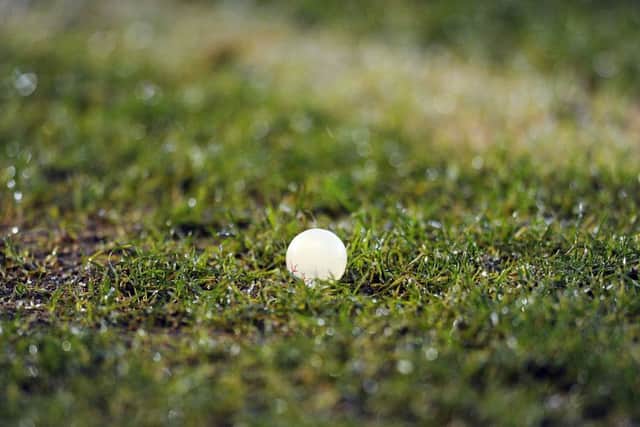 Unacceptable: rubber eyeball toys were thrown onto the park from the away end. Picture Michael Gillen.