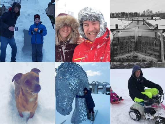 Falkirk Herald readers' pictures of the snow.