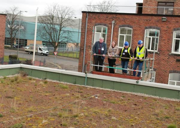 CalaChem's Green Roof project in action