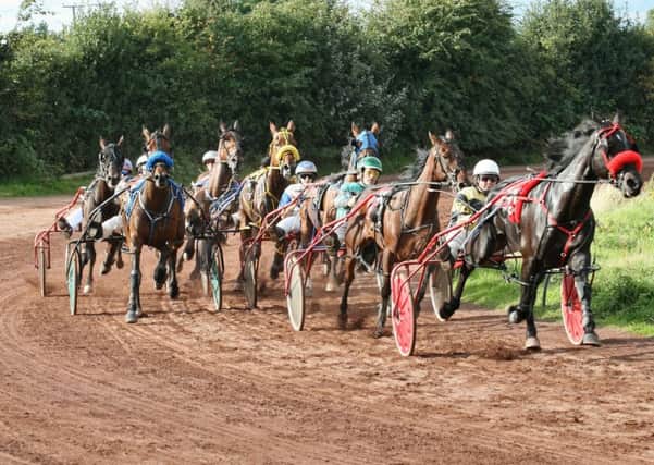 Harness Horse Racing at Corbiewood Stadium, Bannockburn