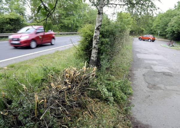 Falkirk Council workers cut down hedges at a car park on the A801 near Polmont
