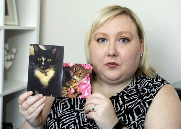 Michelle Sharkeys cats Mylo and Noah passed away after suffering antifreeze poisoning
