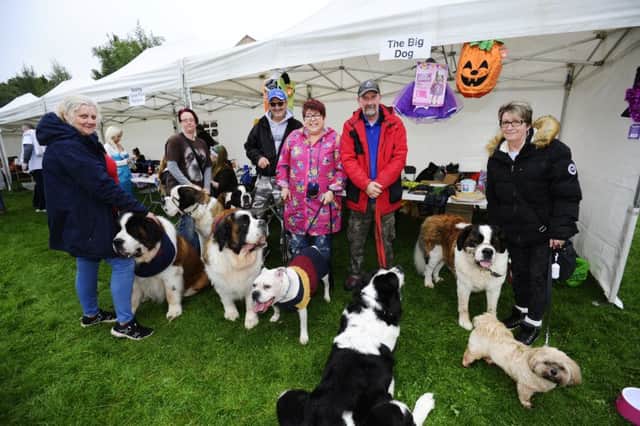 The Big Dog Collections 
On behalf of St Bernard Trust. Pic: Alan Murray