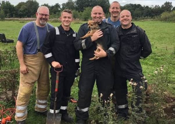 'My heroes!' - Bear gets a cuddle from his rescuers.