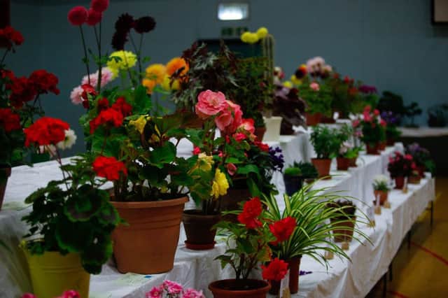 Polmont Horticultural Society Annual Show, Polmont Sports Centre 01/09/18