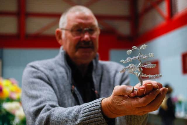 Polmont Horticultural Society Annual Show, Polmont Sports Centre 01/09/18 Roy Baird from Linlithgow with one of his Bonsai trees he creates from bending wire