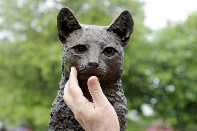 The cat's whiskers...in the short time Dudley has been in situ on the canal banks he has won many fans. (Pic: Michael Gillen)