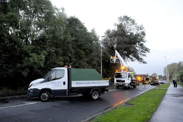 The tree near the Grange Manor Hotel forced the A905 to be closed between Earl's Gate rounabout and Union-Forth Way. Picture Michael Gillen.