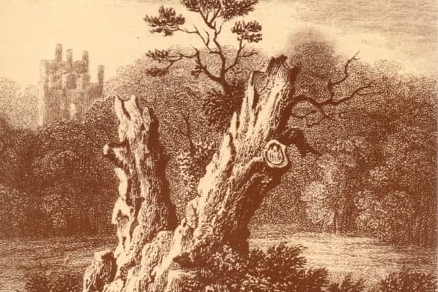 The wallace oak in 1791 with Torwood Castle behind.