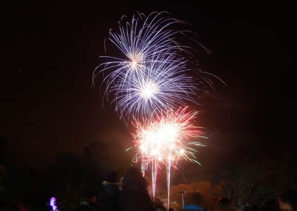 Falkirk Community Trust has made a plea to those attending this year's fireworks