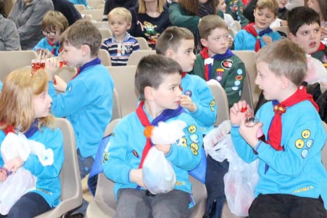 Panto fun for Beavers and Cubs