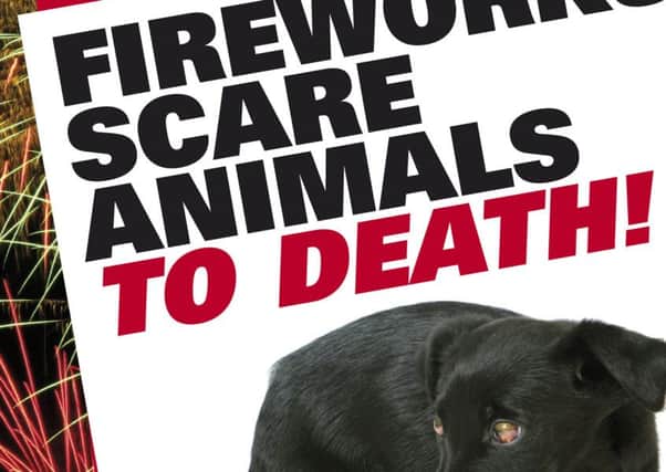 This SSPCA poster highlights the sometimes lethal danger fireworks post to pets.