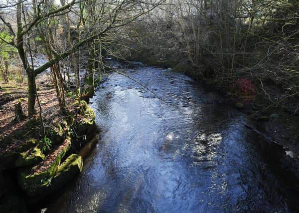 A body was found in the River Carron yesterday afternoon. Picture: Michael Gillen