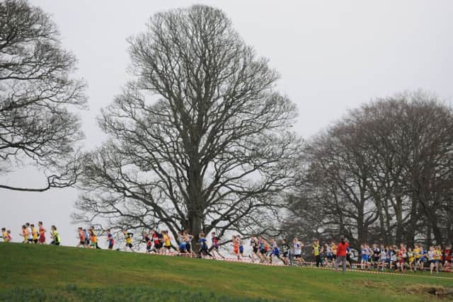 Lindsays National XC Championships at Callendar Park, Saturday, February 23, 2019. Pictures by Alan Murray
