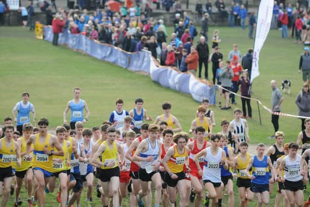 Lindsays national XC Championships. Callendar Park, February 23, 2019. Pics by Alan Murray