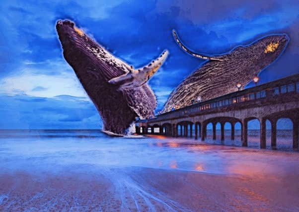 Sea Kelpies?  A Tory councillor in Fife hopes Kelpies sculptor Andy Scott can be hired to construct 100-foot high humphback whales ... at the end of a new 1,000-foot pleasure pier