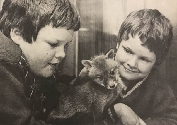 Murray Leishman (12) and Gavin Leishmen (9) with the injured fox they found