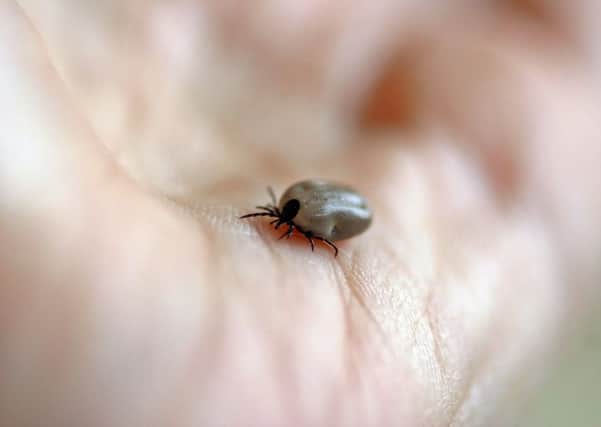 Tiny biter...ticks are so small, many people can't remember being bitten but, if it is infected with Lyme disease, the chances are you will be too. So it pays to use repellent and carry a tick toolkit if you're out and about in the countryside.