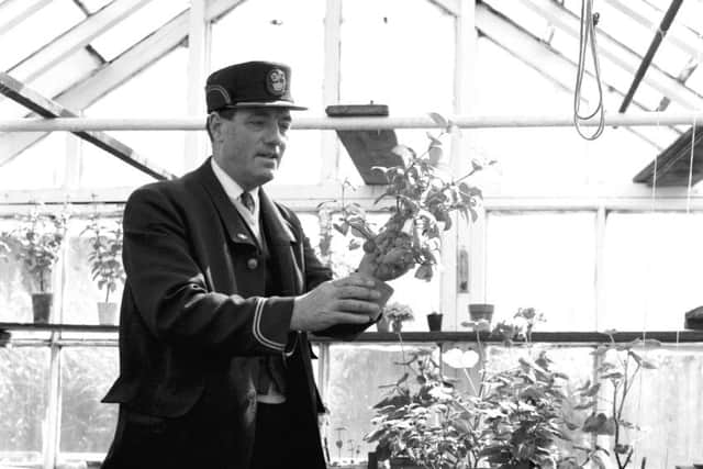 British Railways inspector Robert Elliott grows plants in the greenhouse for Grahamston Station, Falkirk, in July 1972.