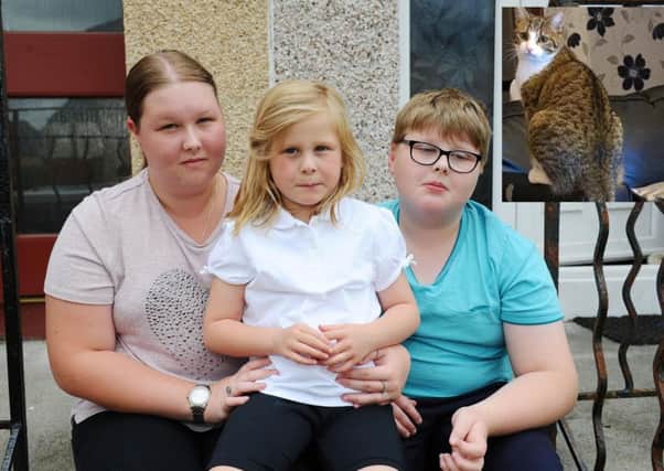 The Strang children, Shannon, Chloe and Connor, have not seen their cat since it went missing from Dennyloanhead back in May