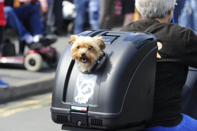 Bonnybridge Gala Day on Saturday, August 3, 2019 at Duncan Stewart Memorial Park (Jenny's Park). Picture by Alan Murray.