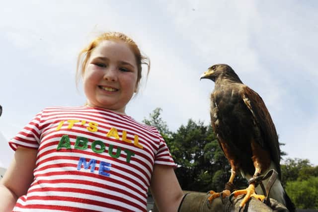 Bonnybridge Gala Day on Saturday, August 3, 2019 at Duncan Stewart Memorial Park (Jenny's Park). Picture by Alan Murray.