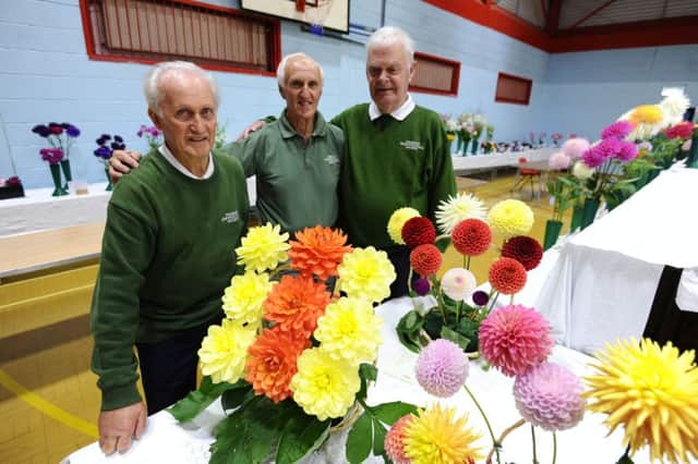 Polmont Horticultural Society members David Hunter, Jim Wilson and Ian Clark. Pic: Alan Murray