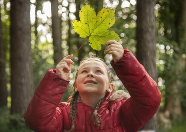 Airth Primary School Anna Connacher launched a campaign that aims to persuade families to turn over a new leaf - and enjoy the great outdoors in winter.