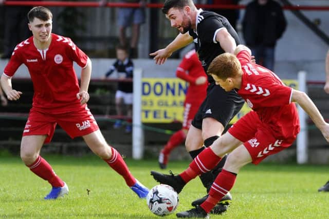 Camelon in action (picture: Alan Murray)