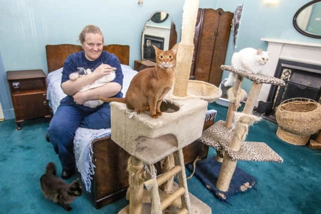 Heather McRae (37), who breeds Asian cats at her home.